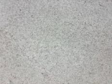 Kashmir White