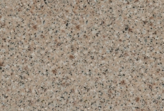 Beige Daphne