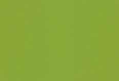 Verde Fun