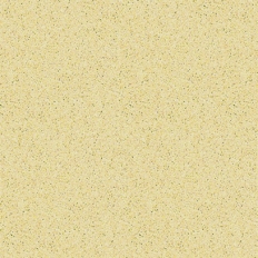 BS300-Cashimir