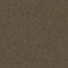 Cloudy Brown 605