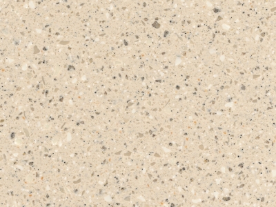 Fossil