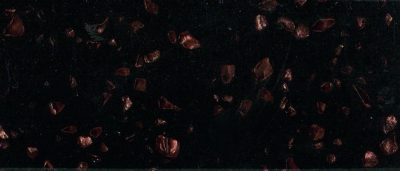 TS-202