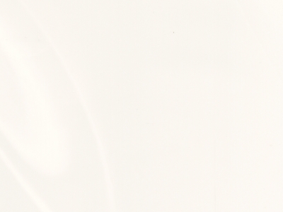 Venaro White